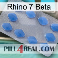 Rhino 7 Beta 21